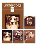 Underdogs Vertical Notecards (Potter Style)