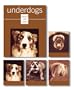 Underdogs Signature Vertical Note Cards (Potter Style)
