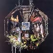 Heart of the Congos