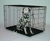 General Cage Cozy Dog Crate 42L