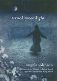 A Cool Moonlight