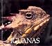 Iguanas (Naturebooks Reptiles and Amphibians)