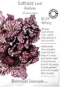 Heirloom Lettuce Redina Certified Organic Heirloom Seeds 150 Seeds