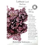 HeirloomLettuceRedinaCertifiedOrganicHeirloomSeeds150Seeds