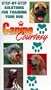 Canine Courtesy : Step by Step Solutions for Training your Dog [VHS]