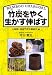 竹炭をやく生かす伸ばす