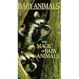 Magic of Baby Animals [VHS]