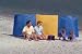 Windshield Portable Beach Windscreen