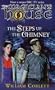 Steps Up the Chimney