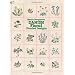 Danish Floral Charted Designs