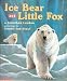 Books : Ice Bear and Little Fox