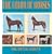 The Color of Horses: The Scientific and Authoritative Identification of the Color of the Horse