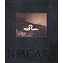 Alec Soth: Niagara