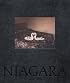 Alec Soth: Niagara