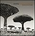Produkt-Bild: Socotra, Island of Wonders