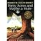 Indigenous culture novels