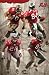 Tampa Bay Buccaneers NFL Pros Art Poster Print 22x34
