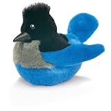 Stellar's Jay - Audubon Plush Bird (Authentic Bird Sound)