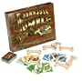 Set Enterprises Jurassic Jumble Game