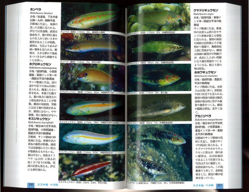 Cover image : 日本の海水魚 (山溪ハンディ図鑑)
