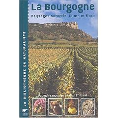 La Bourgogne :  Le Paysage bourguignon abord� par le visuel