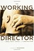 The Working Director: How to Arrive, Survive and Thrive in the Director's Chair