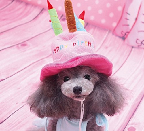 《 Princess★MARRON 》 ペットの誕生日に♪ 小型犬 猫用 バースデー ハット 犬 ペット ネコ いぬ コスプレ 帽子 誕生日 ケーキ型 【k・j】愛犬 《 Princess★MARRON 》 ペットの誕生日に♪ 小型犬 猫用 バースデー ハット 犬 ペット ネコ いぬ コスプレ 帽子 誕生日 ケーキ型 【k・j】愛犬