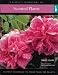 Books : Cassell's Directory of Scented Plants (Cassell's Directory of)