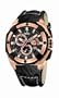 Festina Men's F16357/3 Grand Tour Gold Tone Stainless Steel Gold Tone Case Chrono Watch