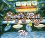 Fly