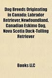 Dog Breeds Originating in Canada: Labrador Retriever, Newfoundland, Canadian Eskimo Dog, Nova Scotia Duck-Tolling Retriever