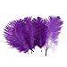 Leegoal Home Decor Purple Ostrich Feathers 10-15cm