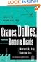 Uva's Guide To Cranes, Dollies, and Remote Heads