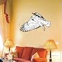 WANDTATTOO w478 Vogel, Adler, Fl�gel, Flug Wandauf&hellip von PEMA