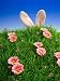 Easter - 48H x 36W - Peel and Stick Wall Decal by Wallmonkeys