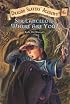 Sir Lancelot, Where Are You? #6 (Dragon Slayers' Academy)
