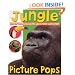 Picture Pops Jungle
