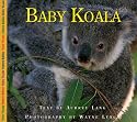 Baby Koala (Nature Babies)