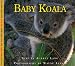 Baby Koala (Nature Babies)