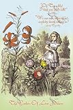 Art Poster, Through the Looking Glass: Garden of Live Flowers - 18.75 x 27.5