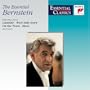 The Essential Bernstein