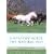 A Healthy Horse the Natural Way: A Horse Owner's Guide to Using Herbs, Massage, Homeopathy, and Other Natural Therapies