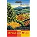 Italian Literature - Contemporary