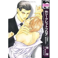 Mr.シークレットフロア~小説家の戯れなひびき (ビーボーイコミックス)