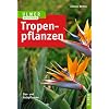 Tropenpflanzen: Zier- und Nutzpflanzen