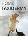 Home Taxidermy