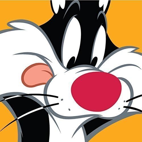 DIY Paint by Number Kit On Canvas 10x10 inch Licensed Warner Bros-Looney tunes-Sylvester