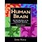 The Best First-Year Medical School Books