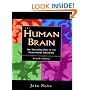 The Human Brain: An Introduction to Its Functional Anatomy