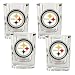 Pittsburgh Steelers NFL 4pc Square Shot Glass Set